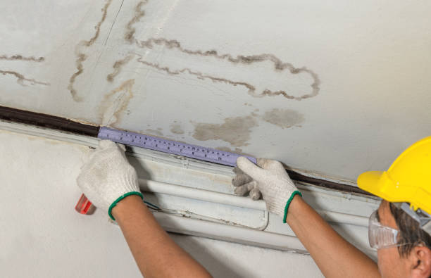 Reliable Burst Pipe Cleanup contractor in D'Iberville, MS by Local Water Damage Repair